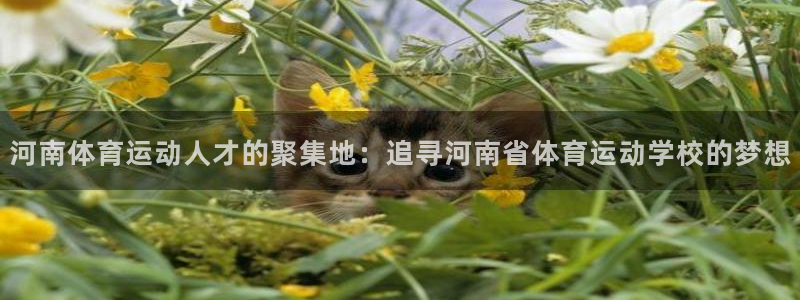 xc体育