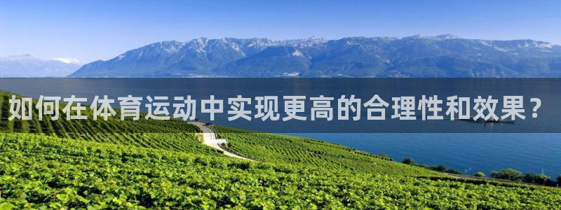xc体育app官方网站
