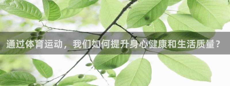 xc体育app官方网站