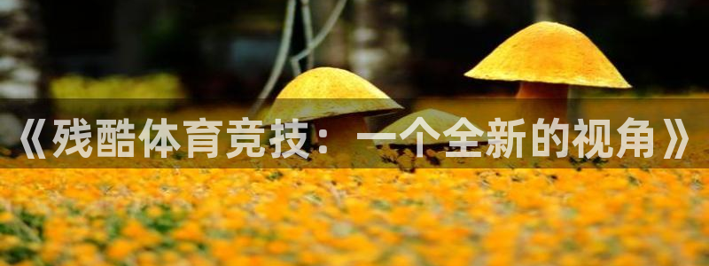 xc体育app官方网站
