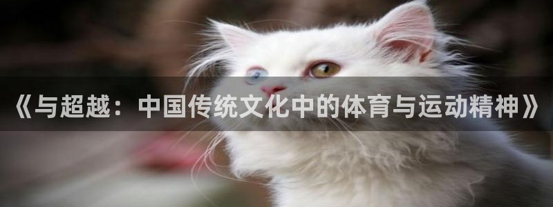xc体育app官方网站