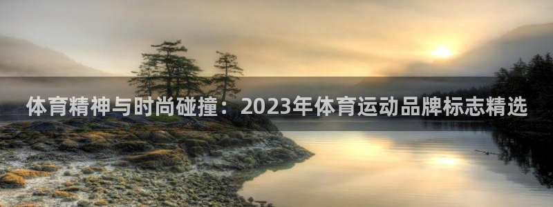 xc体育app官方网站