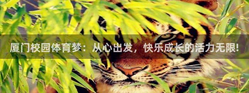 xc体育