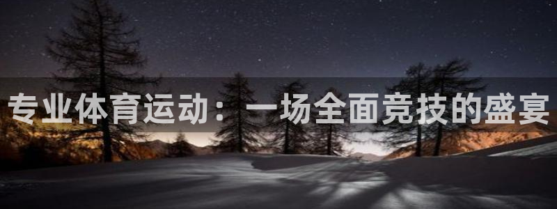 xc体育：专业体育运动：一场全面竞技的盛宴