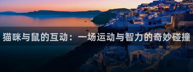 xc体育：猫咪与鼠的互动：一场运动与智力的奇妙碰撞