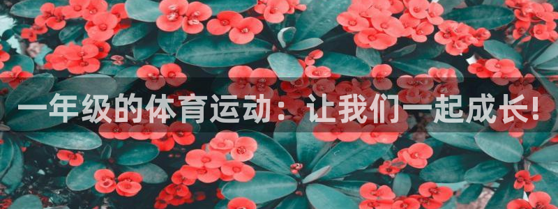 xc体育app官方网站：一年级的体育运动：让我们一起成长!