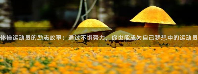 xc体育app官方网站：体操运动员的励志故事：通过不懈努力，你也能成为自己梦想中的运动员