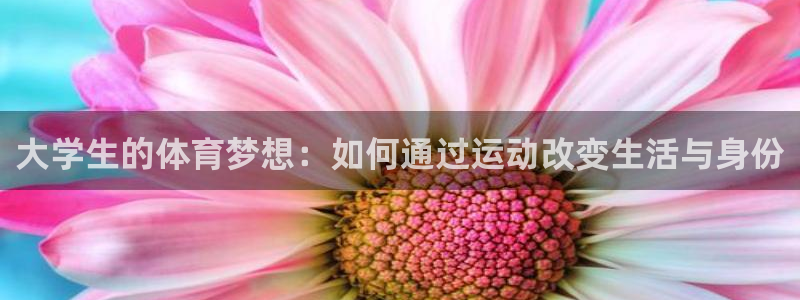 xc体育app官方网站