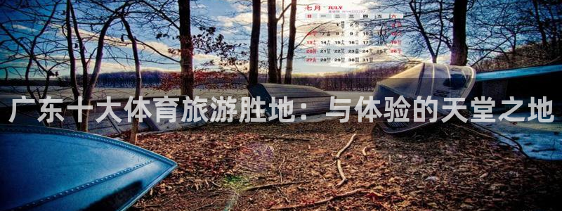 xc体育app官方网站