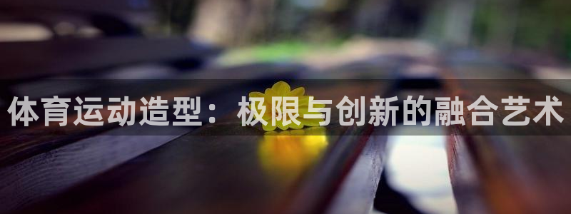 xc体育