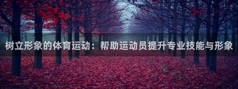 xc体育app官方网站：树立形象的体育运动：帮助运动员提升专业技能与形象